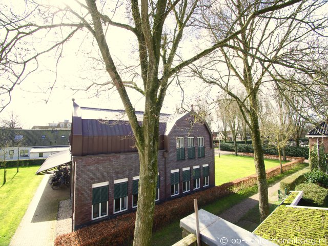 Lutje Wad Lutje Wad